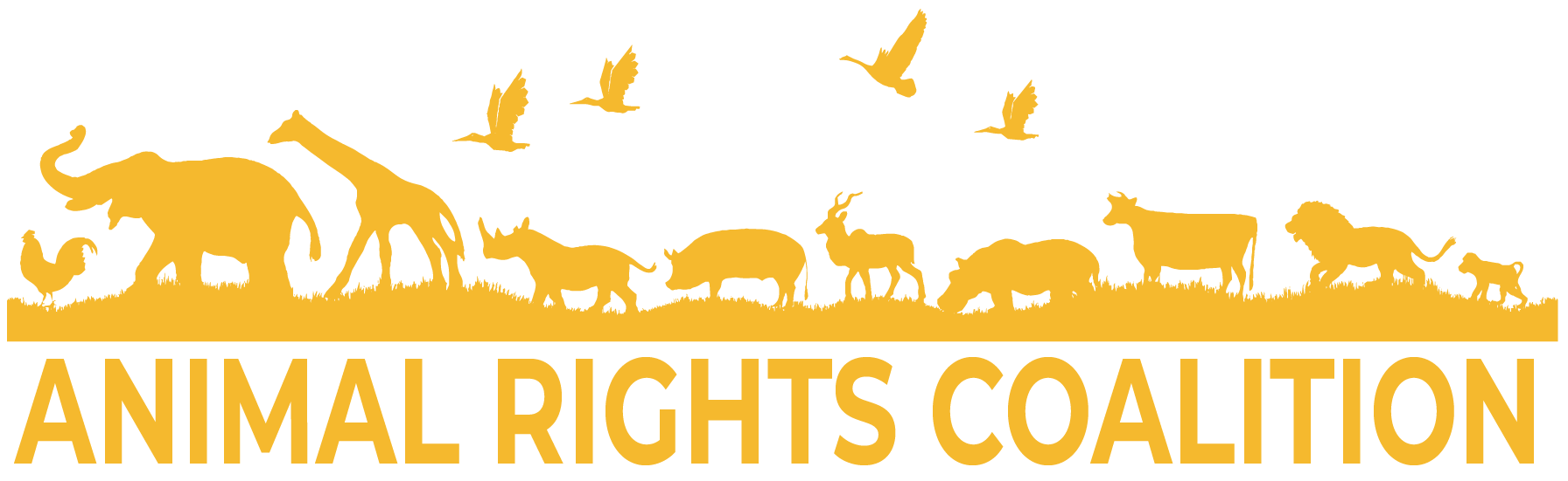 Animal Rights Coalition